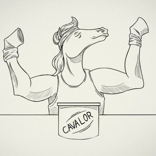 CAVALOR x WHITEBOARD